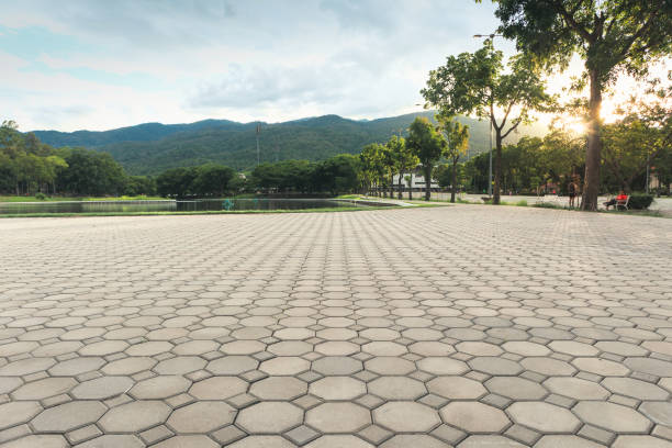 Best Driveway Paving Contractor  in Chase City, VA