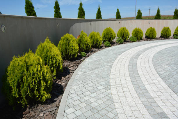 Best Decorative Driveway Pavers  in Chase City, VA