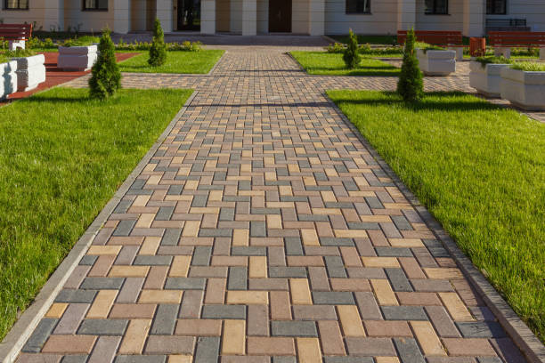 Best Residential Paver Driveway  in Chase City, VA